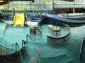 Aquapark Olomouc