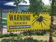 Europabad Karlsruhe - Die Spinne baut ihr Netz