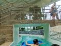 Bellewaerde Aquapark Ypern